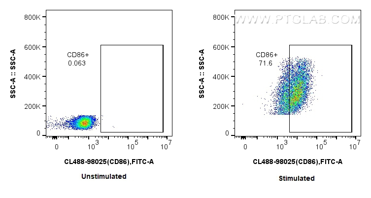 CD86