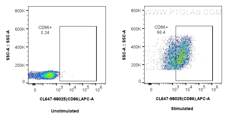 CD86