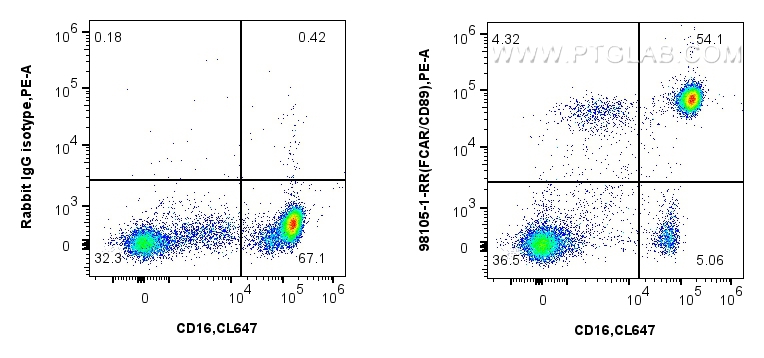 FC experiment of human peripheral blood leukocytes using 98105-1-RR (same clone as 98105-1-PBS)