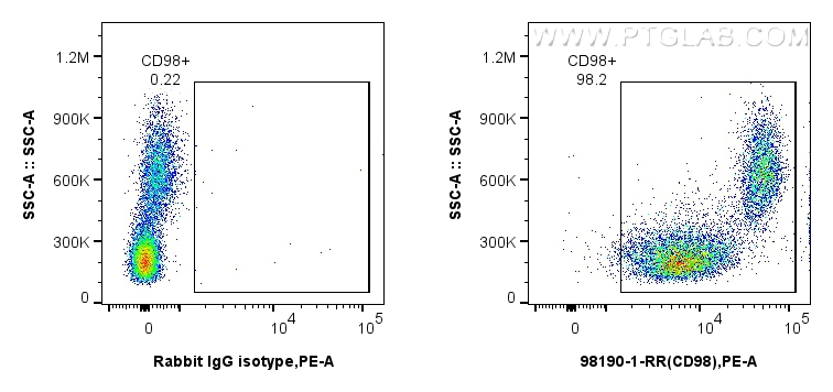 FC experiment of human PBMCs using 98190-1-RR