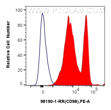 CD98/SLC3A2