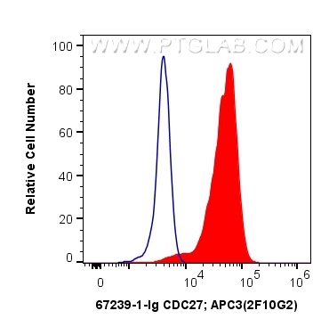 FC experiment of K-562 using 67239-1-Ig