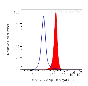 CDC27; APC3 antibody (CL650-67239) | Proteintech | 武汉三鹰生物技术有限公司