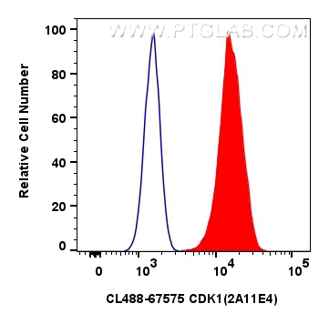 FC experiment of HeLa using CL488-67575