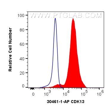 FC experiment of K-562 using 30461-1-AP