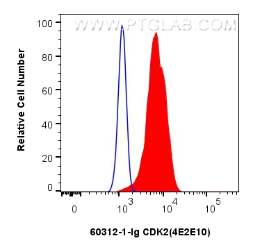 FC experiment of HepG2 using 60312-1-Ig (same clone as 60312-1-PBS)