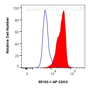 FC experiment of HeLa using 55103-1-AP