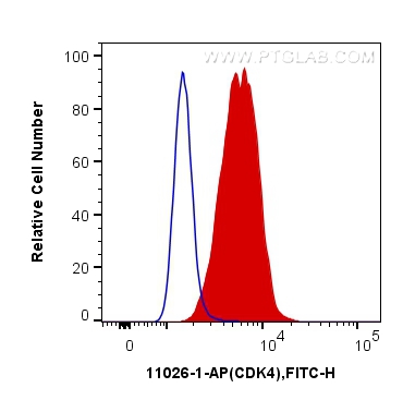 CDK4