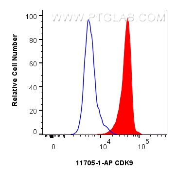 FC experiment of HeLa using 11705-1-AP