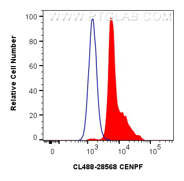 FC experiment of A549 using CL488-28568