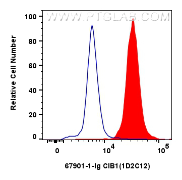 FC experiment of Jurkat using 67901-1-Ig