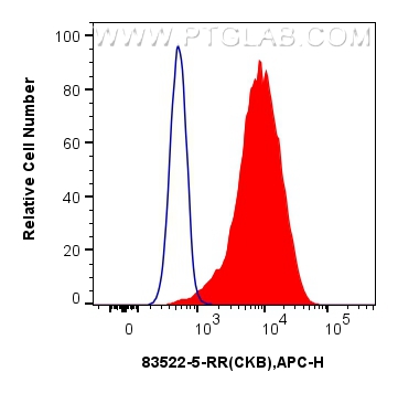 FC experiment of HeLa using 83522-5-RR (same clone as 83522-5-PBS)