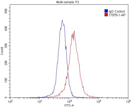 Cannabinoid receptor 1