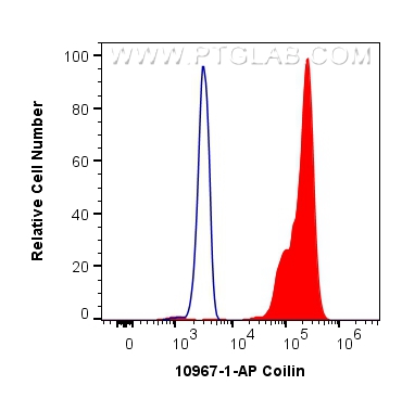 FC experiment of HEK-293 using 10967-1-AP