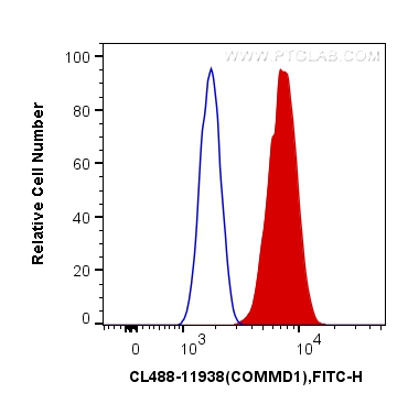 FC experiment of HepG2 using CL488-11938