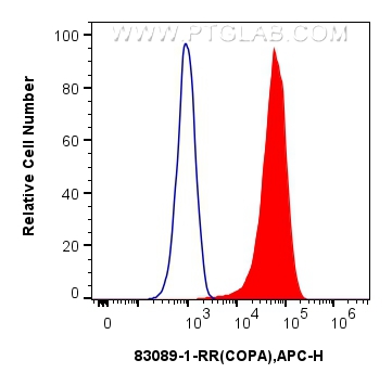 FC experiment of HeLa using 83089-1-RR