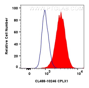 FC experiment of SH-SY5Y using CL488-10246