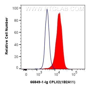 FC experiment of SH-SY5Y using 66849-1-Ig (same clone as 66849-1-PBS)