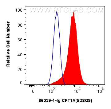 FC experiment of HeLa using 66039-1-Ig