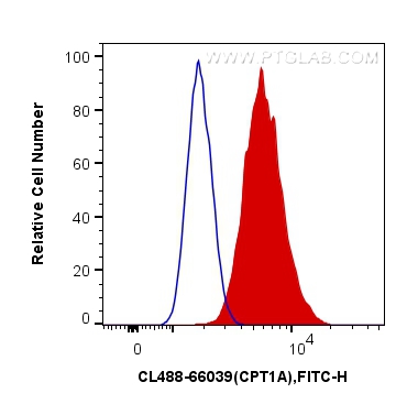 FC experiment of HeLa using CL488-66039