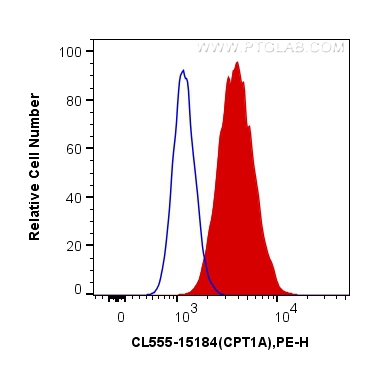 FC experiment of HeLa using CL555-15184