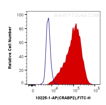 FC experiment of MCF-7 using 10225-1-AP