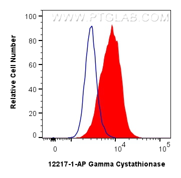 FC experiment of MCF-7 using 12217-1-AP