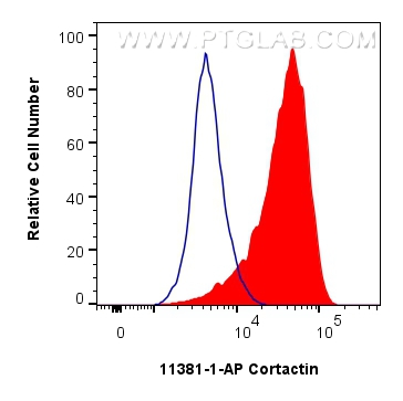 FC experiment of HeLa using 11381-1-AP