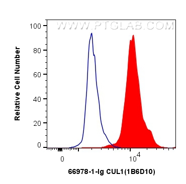 FC experiment of HEK-293 using 66978-1-Ig