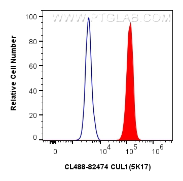 FC experiment of HeLa using CL488-82474