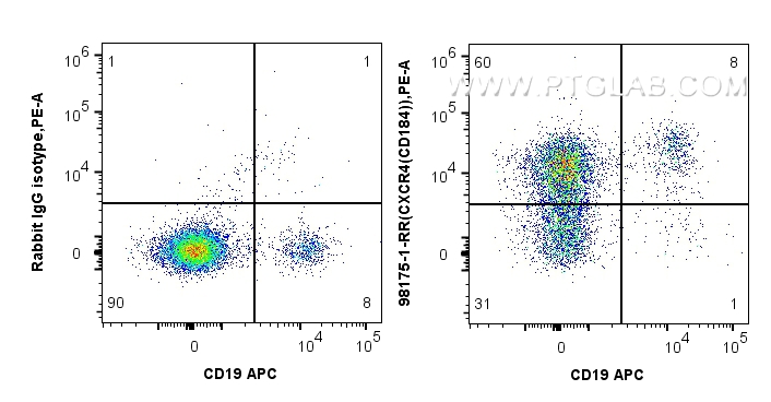 FC experiment of human PBMCs using 98175-1-RR (same clone as 98175-1-PBS)