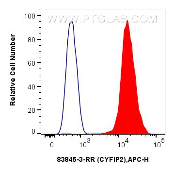 FC experiment of Jurkat using 83845-3-RR