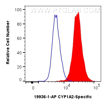 FC experiment of HepG2 using 19936-1-AP