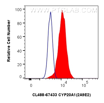 FC experiment of HeLa using CL488-67433