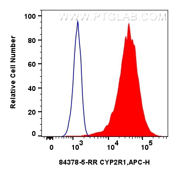 FC experiment of Hela using 84378-5-RR (same clone as 84378-5-PBS)