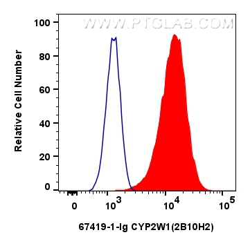 FC experiment of HUVEC using 67419-1-Ig (same clone as 67419-1-PBS)