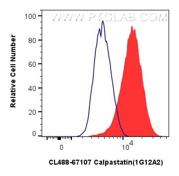 FC experiment of HeLa using CL488-67107