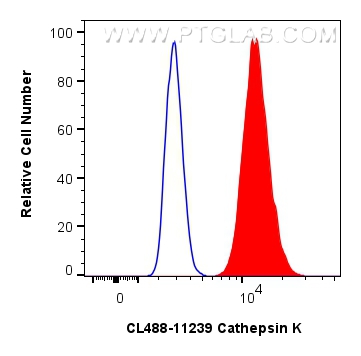 FC experiment of U2OS using CL488-11239