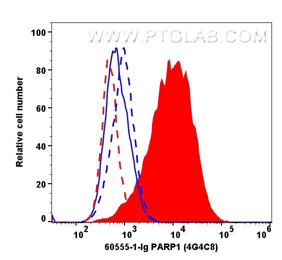 Cleaved PARP1