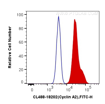 FC experiment of HeLa using CL488-18202