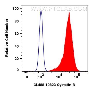 FC experiment of MCF-7 using CL488-10823