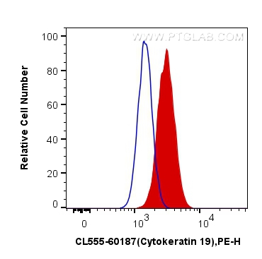 FC experiment of HeLa using CL555-60187