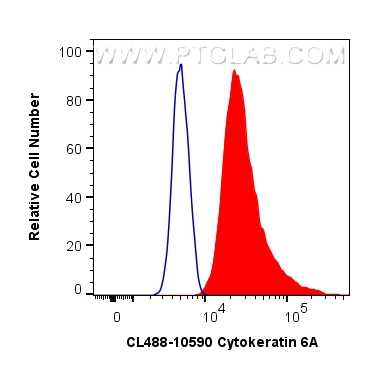 FC experiment of A431 using CL488-10590