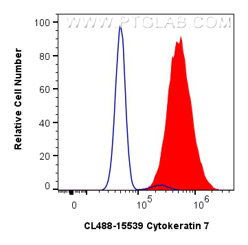 FC experiment of HeLa using CL488-15539