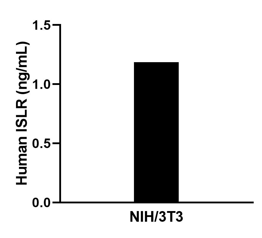 The mean ISLR concentration was determined to be 1.2 ng/mL in NIH/3T3 cell extract based on a 1.2 mg/mL extract load. The mean ISLR concentration was determined to be 1.2 ng/mL in NIH/3T3 cell extract based on a 1.2 mg/mL extract load.