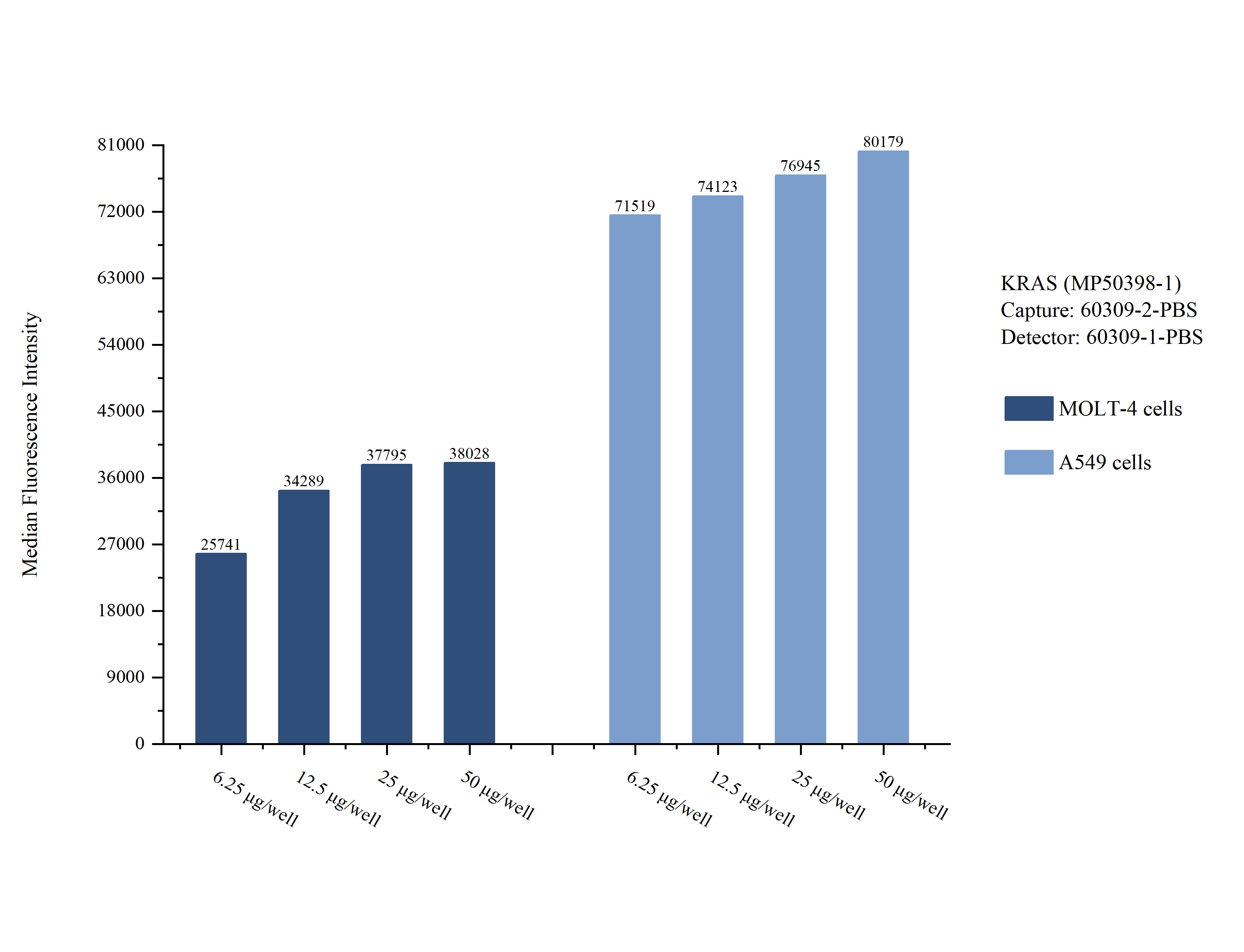 Cytometric bead array sample test of MP50398-1, KRAS Monoclonal Matched Antibody Pair, PBS Only. Capture antibody: 60309-2-PBS. Detection antibody: 60309-1-PBS. Cytometric bead array sample test of MP50398-1, KRAS Monoclonal Matched Antibody Pair, PBS Only. Capture antibody: 60309-2-PBS. Detection antibody: 60309-1-PBS.