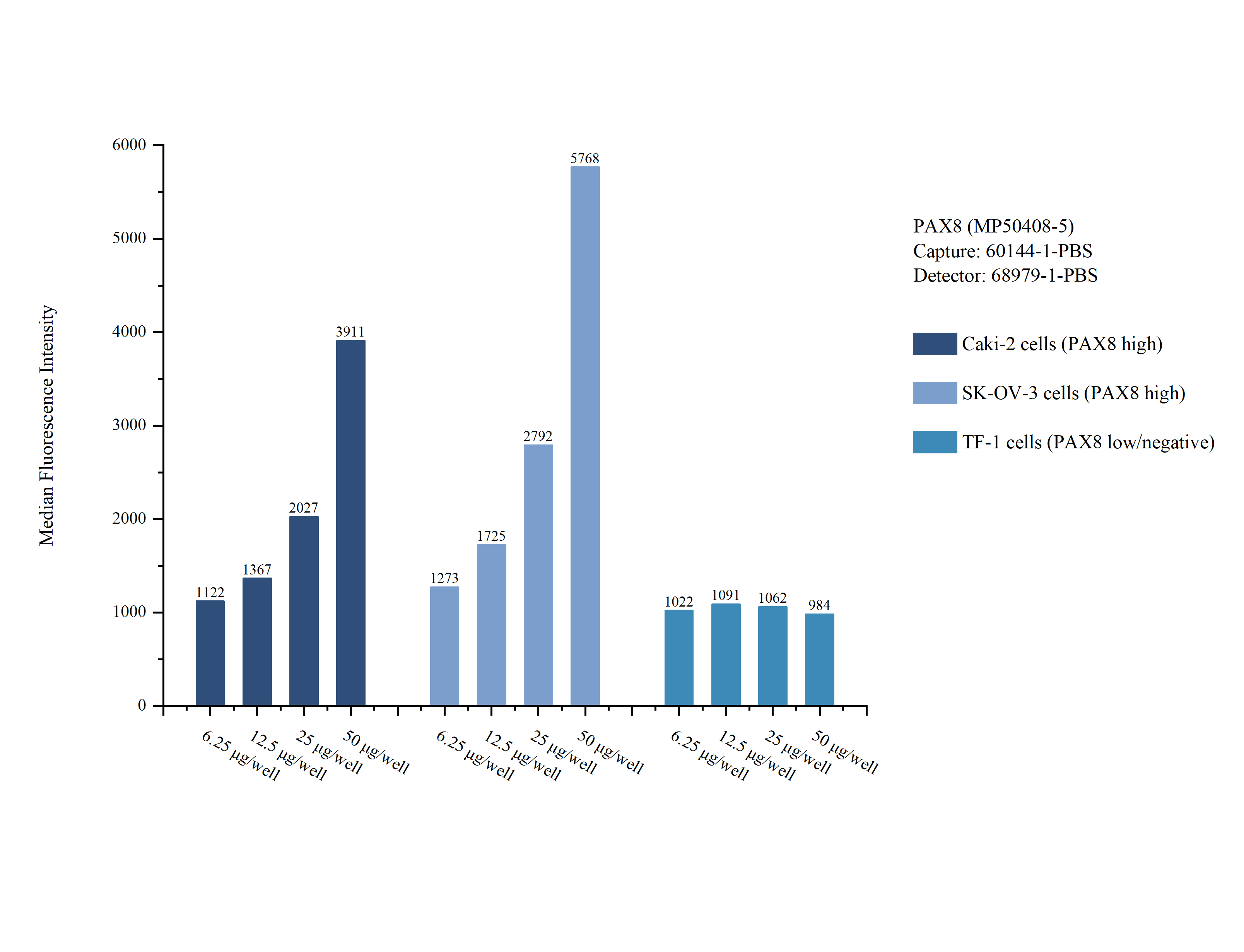 Cytometric bead array sample test of MP50408-5, PAX8 Monoclonal Matched Antibody Pair, PBS Only. Capture antibody: 60144-1-PBS. Detection antibody: 68979-1-PBS. Cytometric bead array sample test of MP50408-5, PAX8 Monoclonal Matched Antibody Pair, PBS Only. Capture antibody: 60144-1-PBS. Detection antibody: 68979-1-PBS.