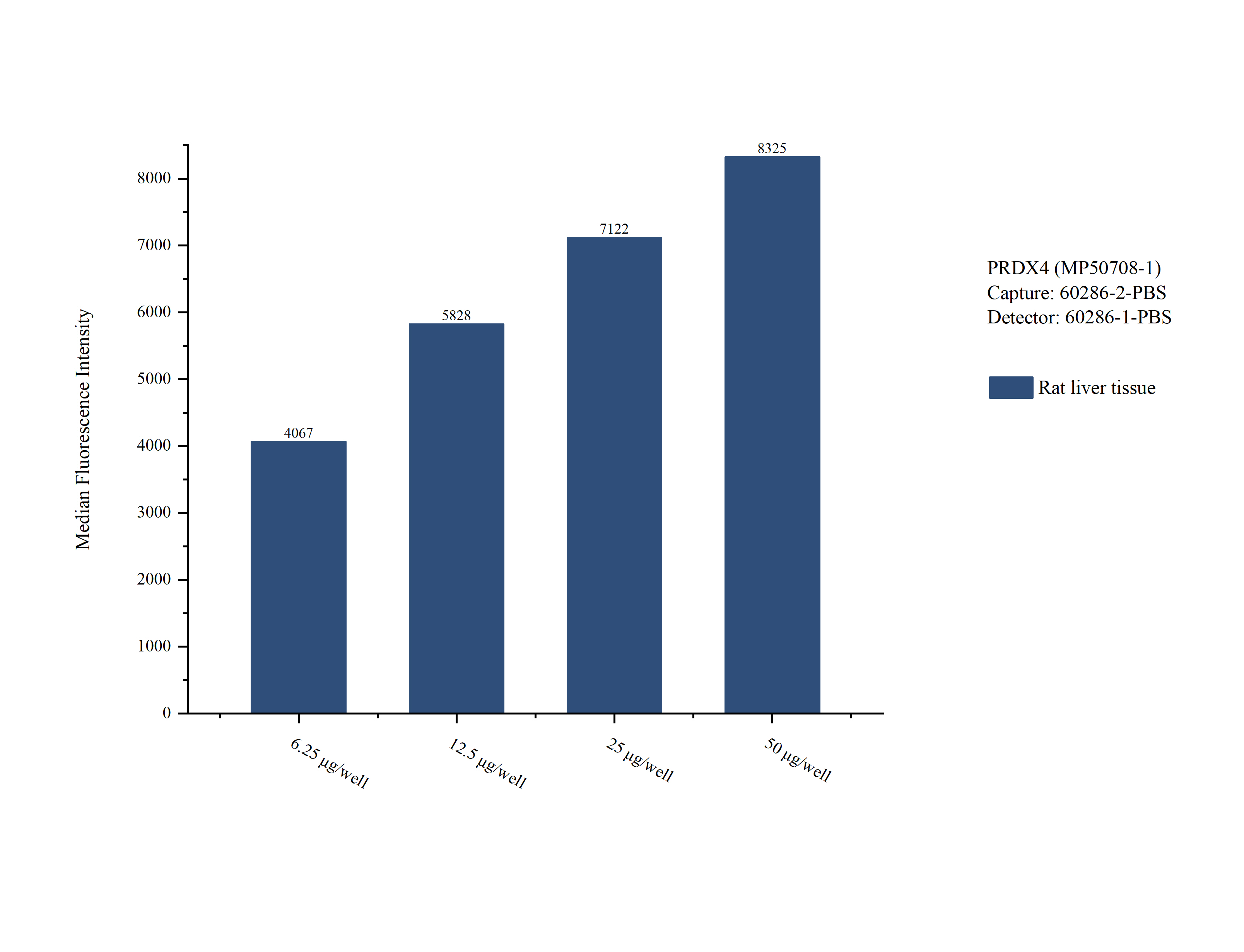 Cytometric bead array sample test of MP50708-1, PRDX4 Monoclonal Matched Antibody Pair, PBS Only. Capture antibody: 60286-2-PBS. Detection antibody: 60286-1-PBS. Cytometric bead array sample test of MP50708-1, PRDX4 Monoclonal Matched Antibody Pair, PBS Only. Capture antibody: 60286-2-PBS. Detection antibody: 60286-1-PBS.