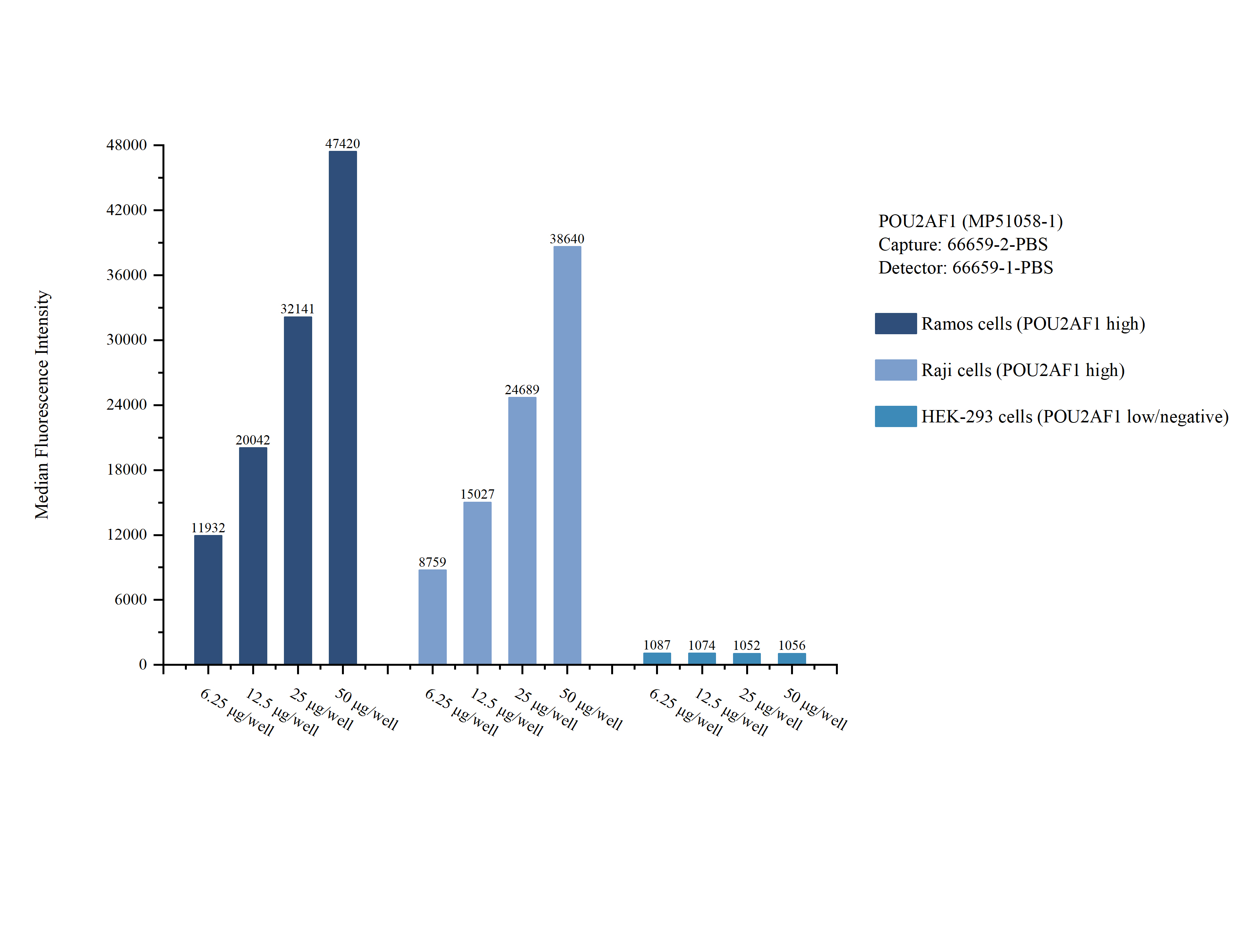 Cytometric bead array sample test of MP51058-1, POU2AF1 Monoclonal Matched Antibody Pair, PBS Only. Capture antibody: 66659-2-PBS. Detection antibody: 66659-1-PBS. Cytometric bead array sample test of MP51058-1, POU2AF1 Monoclonal Matched Antibody Pair, PBS Only. Capture antibody: 66659-2-PBS. Detection antibody: 66659-1-PBS.