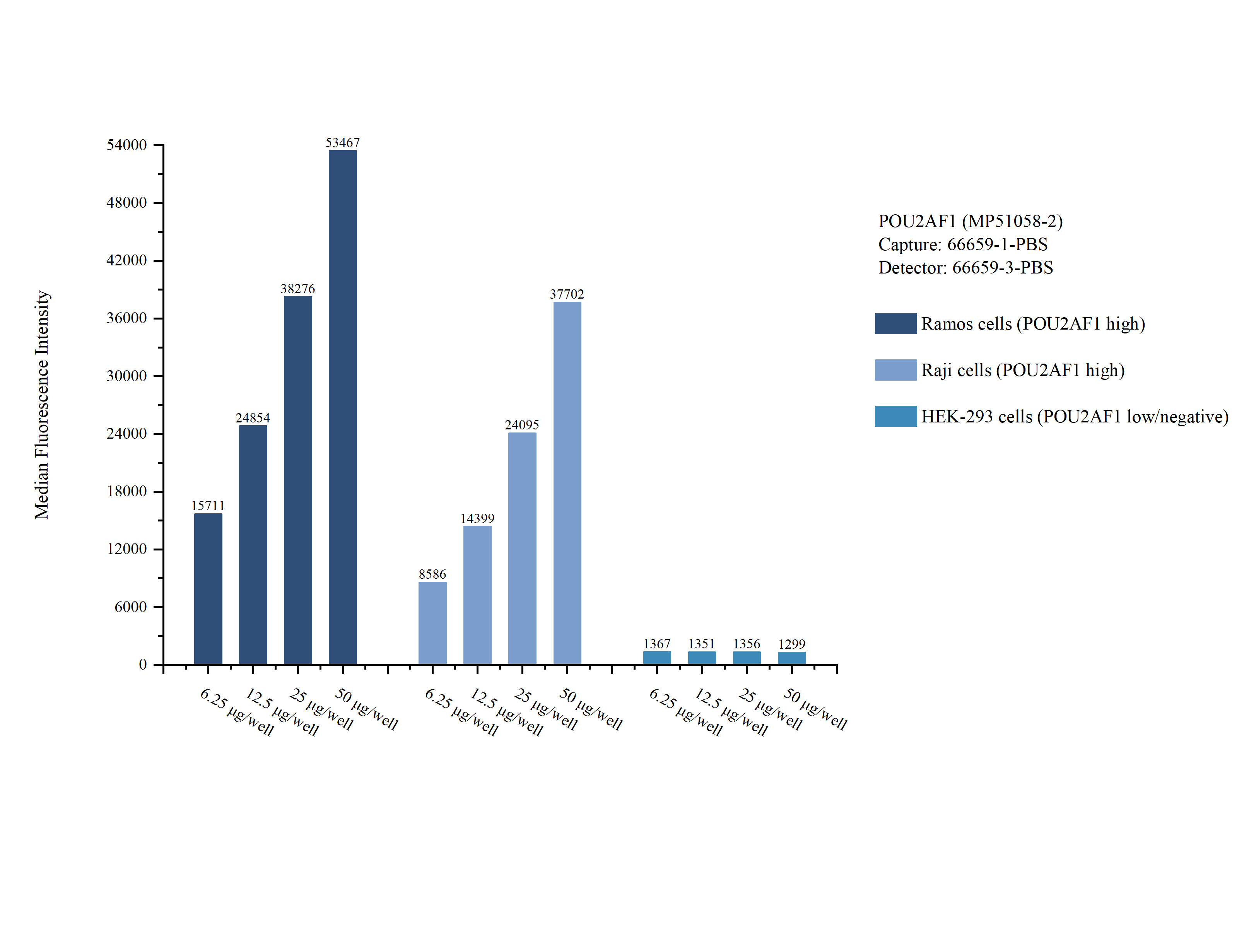 Cytometric bead array sample test of MP51058-2, POU2AF1 Monoclonal Matched Antibody Pair, PBS Only. Capture antibody: 66659-1-PBS. Detection antibody: 66659-3-PBS. Cytometric bead array sample test of MP51058-2, POU2AF1 Monoclonal Matched Antibody Pair, PBS Only. Capture antibody: 66659-1-PBS. Detection antibody: 66659-3-PBS.